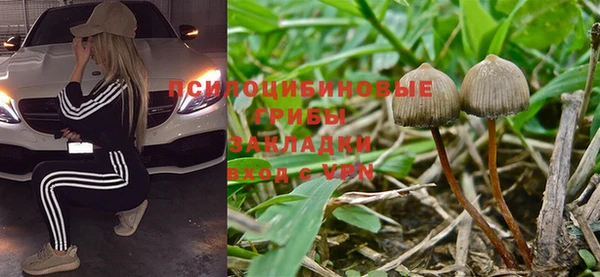 шишки Сафоново