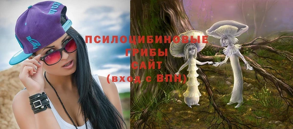 твердый Арсеньев