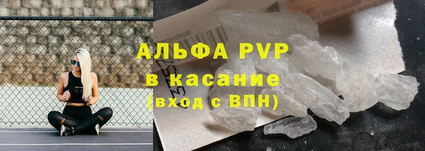 твердый Арсеньев