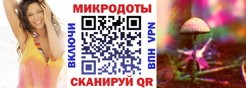 Галлюциногенные грибы Psilocybe  купить наркоту  Выкса 