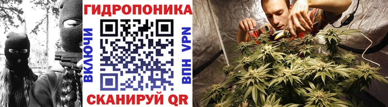 МАРИХУАНА OG Kush Выкса