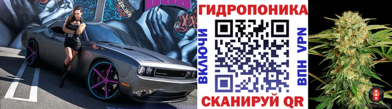 магазин    Выкса  МЕГА маркетплейс  Бошки Шишки AK-47 